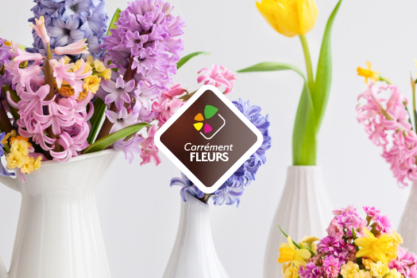 programme-de-fidelité-carrément fleurs